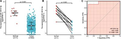 MiR-3614-5p Is a Potential Novel Biomarker for Colorectal Cancer